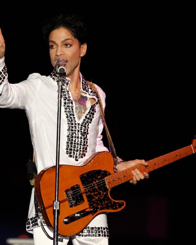 Concerts de légende : Le Prince du désert (2008)
