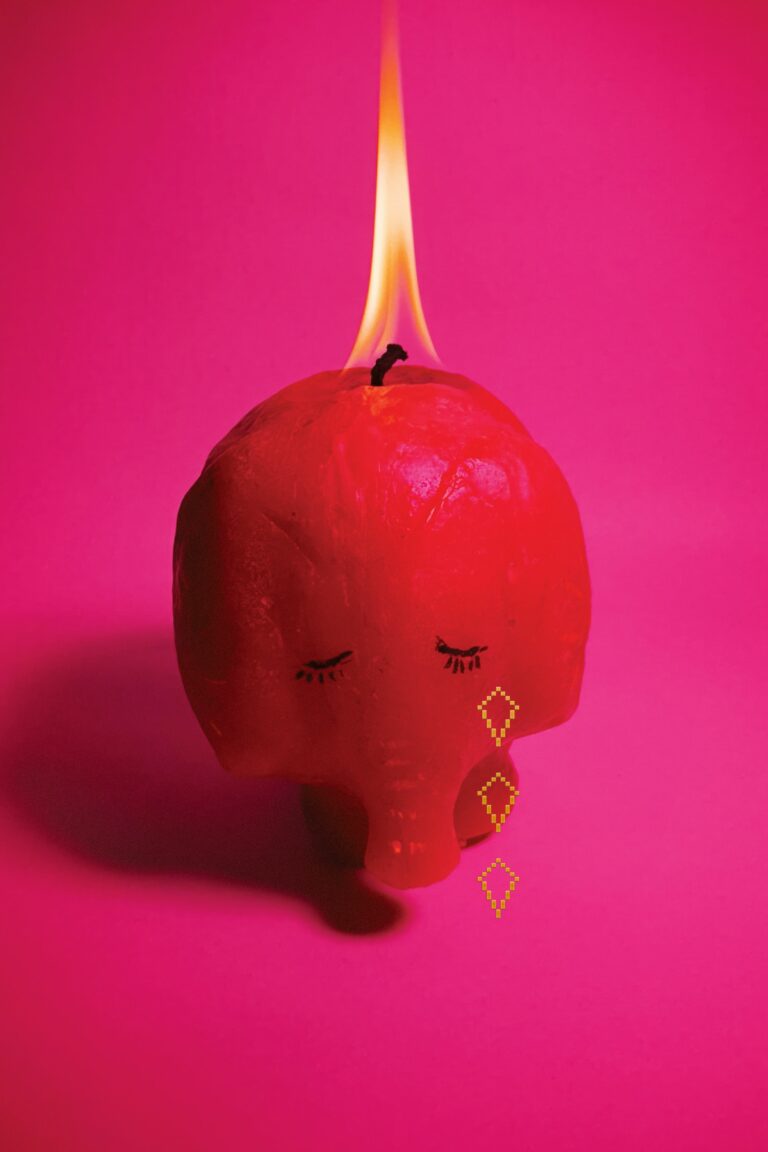 Arcade Fire – Pink Elephant